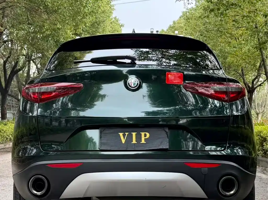 Alfa Romeo Alfa Romeo Stelvio 2017 2.0T 280HP Luxury Edition 2018 - thumbnail 9