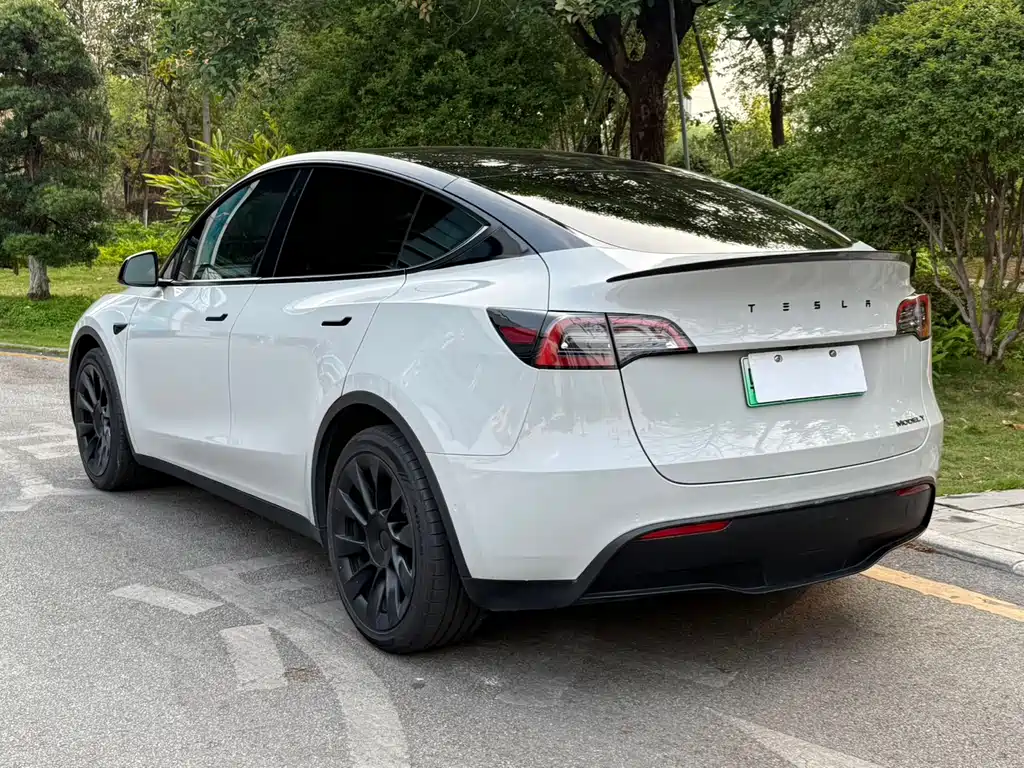 Tesla Model Y 2022 Rear-Wheel Drive Version 2022 - thumbnail 2