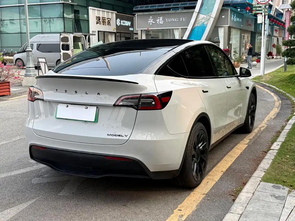 Tesla Model Y 2022 Rear-Wheel Drive Version 2022 - thumbnail 5