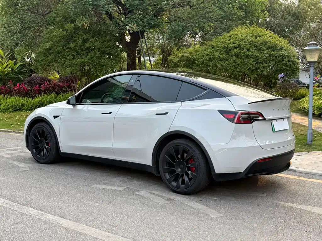 Tesla Model Y 2022 Rear-Wheel Drive Version 2022 - thumbnail 6