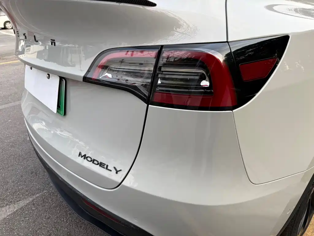 Tesla Model Y 2022 Rear-Wheel Drive Version 2022 - thumbnail 10