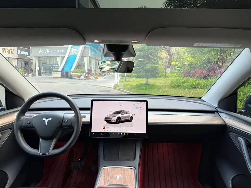 Tesla Model Y 2022 Rear-Wheel Drive Version 2022 - thumbnail 13