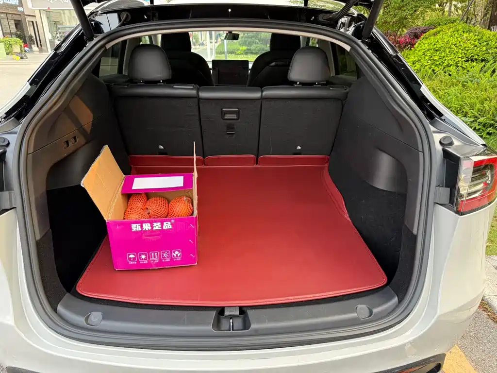 Tesla Model Y 2022 Rear-Wheel Drive Version 2022 - thumbnail 16