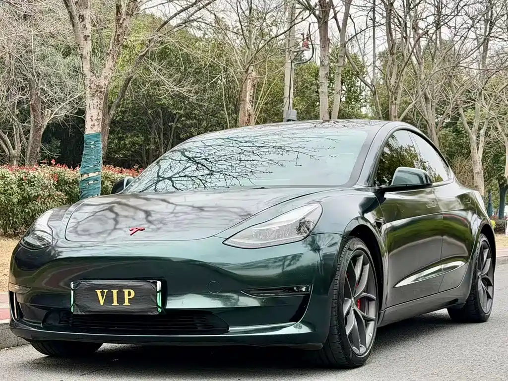 Tesla Model 3 2021 Performance AWD 3D6 2021