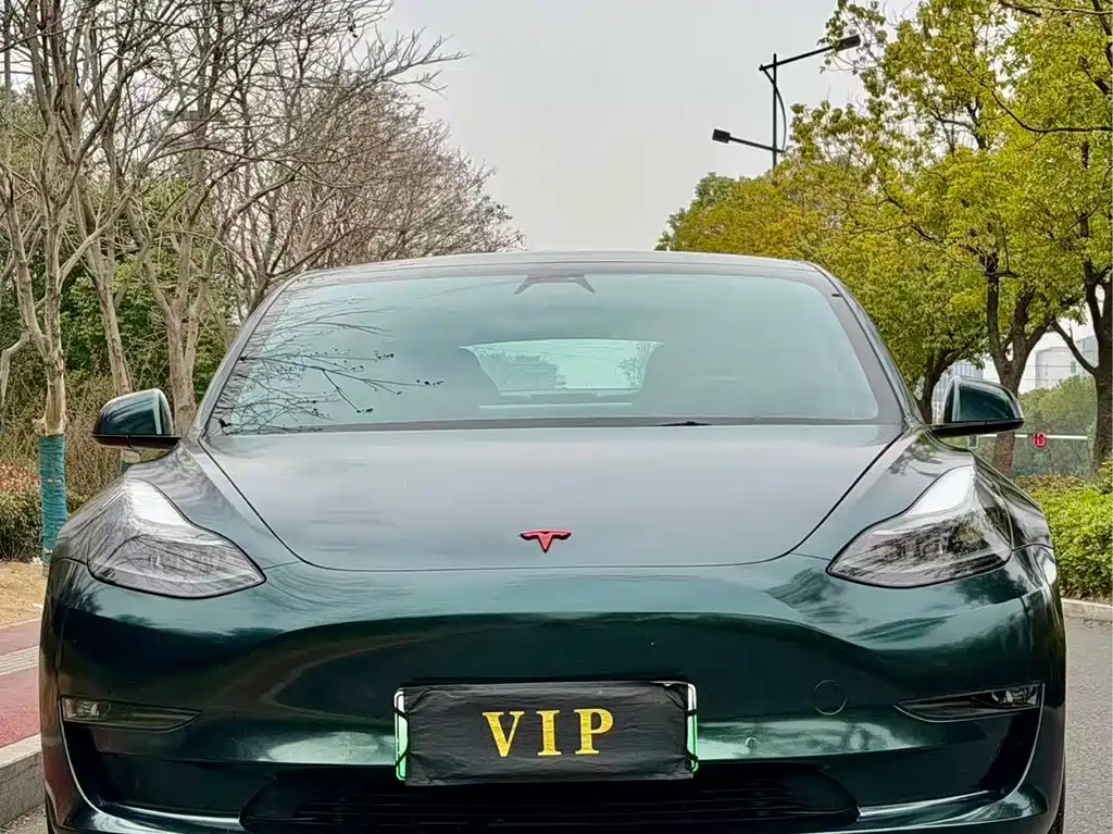 Tesla Model 3 2021 Performance AWD 3D6 2021 - thumbnail 2