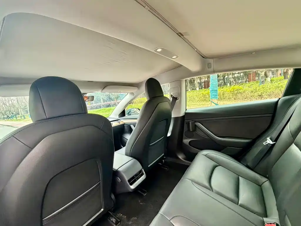 Tesla Model 3 2021 Performance AWD 3D6 2021 - thumbnail 7