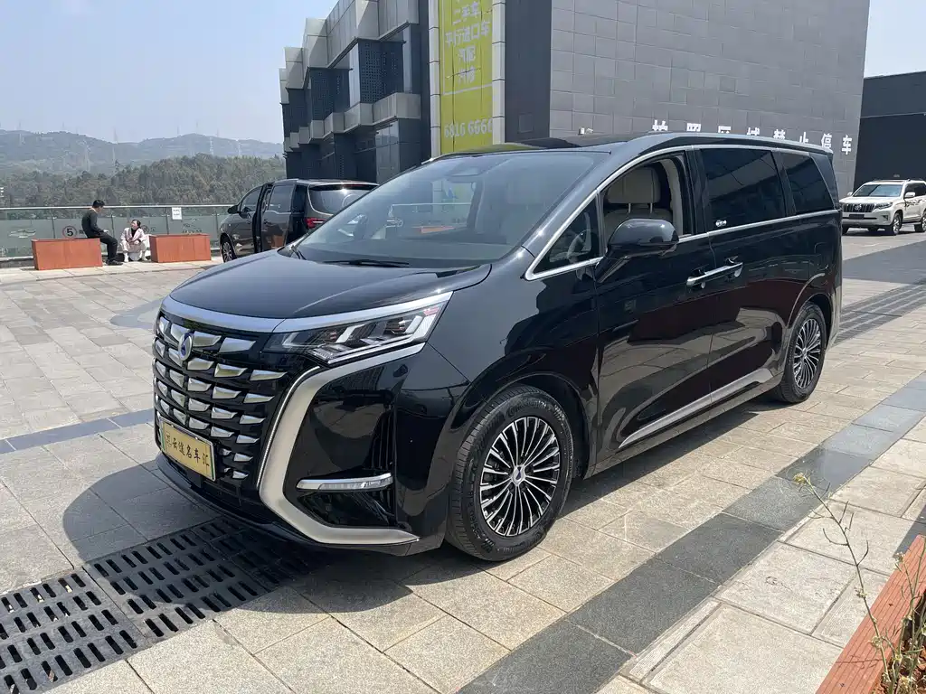Denza DENZA D9 2024 DM-i 1050 Premium Edition 2024