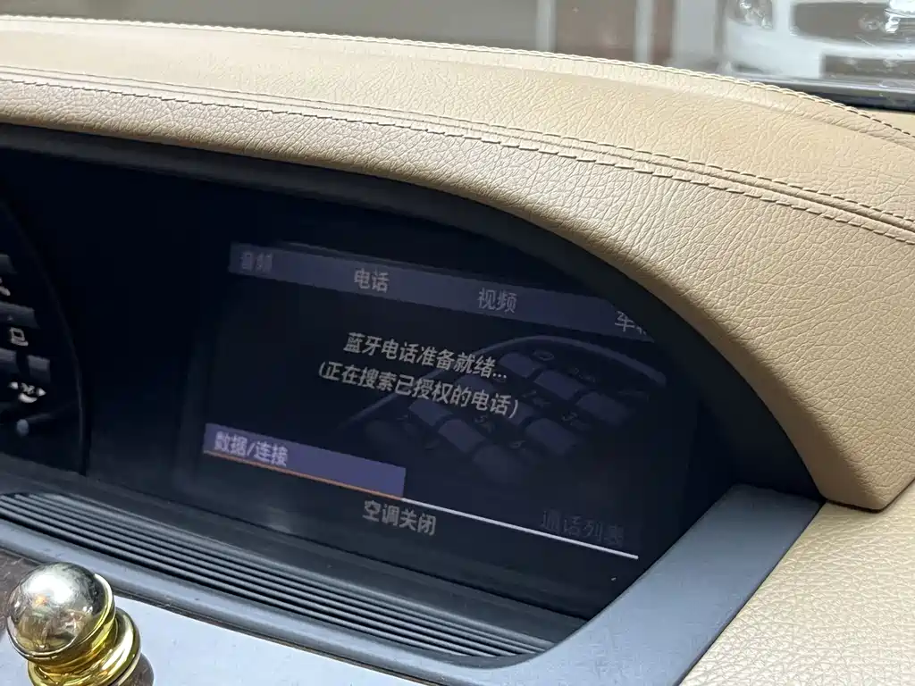 Mercedes-Benz Mercedes-Benz S-Class 2010 S 300 L Business Edition 2010 - thumbnail 10