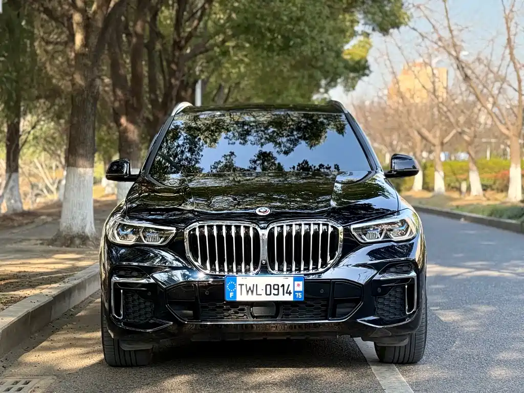 BMW BMW X5 xDrive 40Li M Sport Package 2022 Model Year 2023 - thumbnail 2