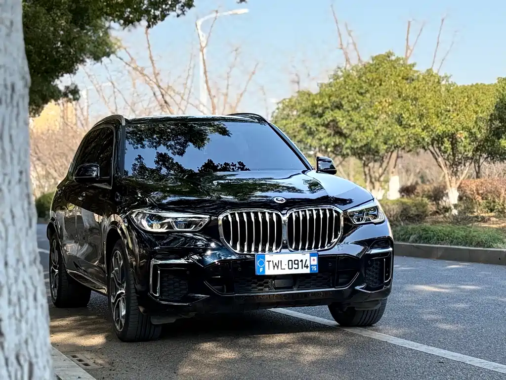 BMW BMW X5 xDrive 40Li M Sport Package 2022 Model Year 2023 - thumbnail 3