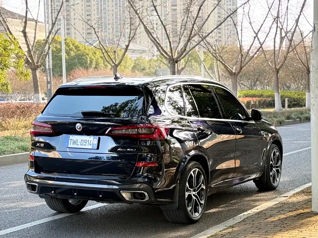 BMW BMW X5 xDrive 40Li M Sport Package 2022 Model Year 2023 - thumbnail 18