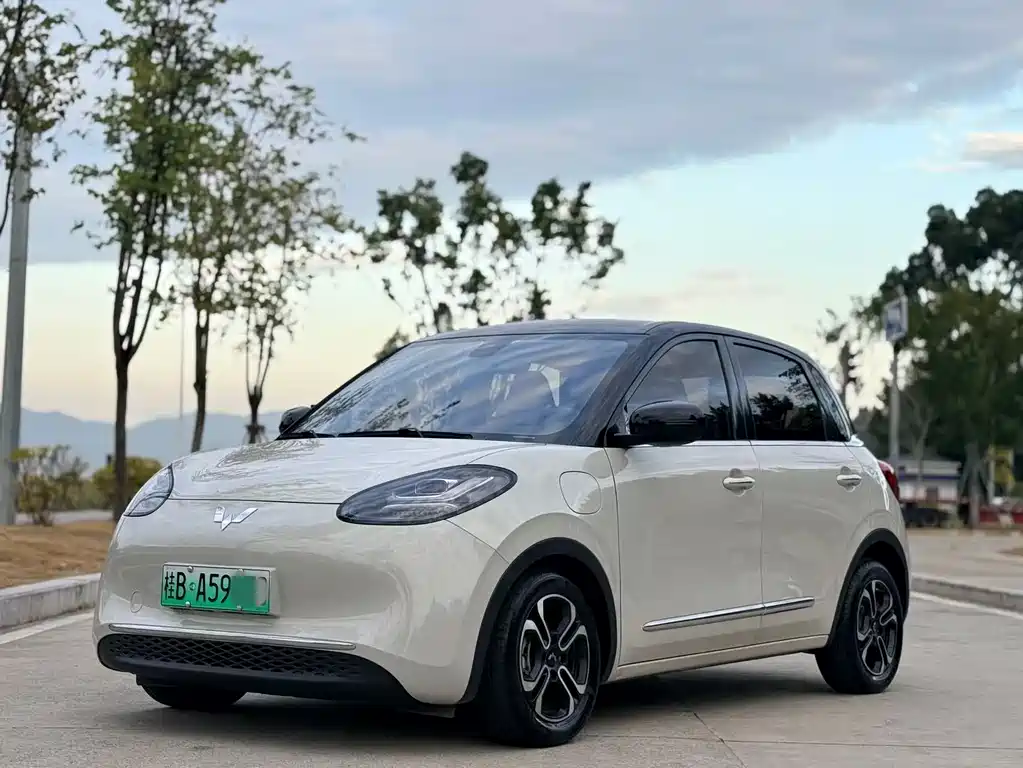 Wuling Motors Wuling Binguo 2024 Model 410km Lingxi Premium Edition 2024
