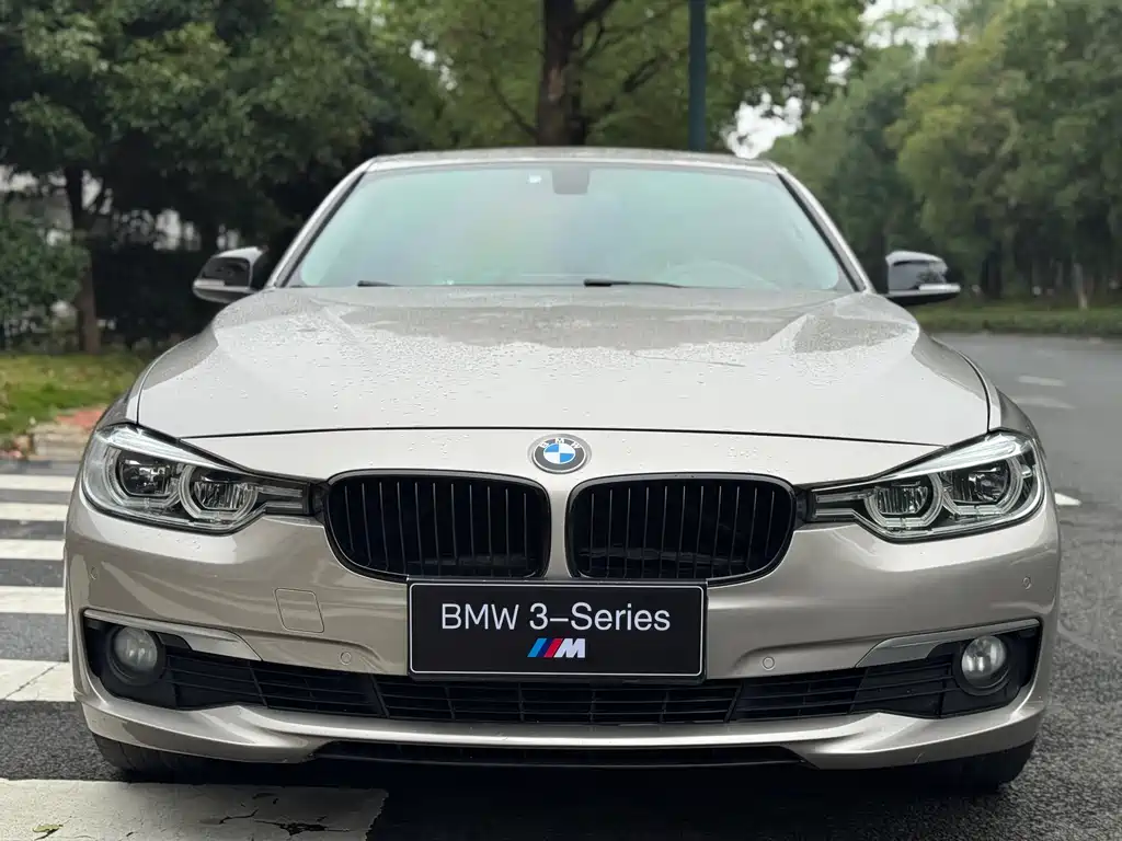 BMW BMW 3 Series 2019 320Li Fashion Edition 2019 - thumbnail 2
