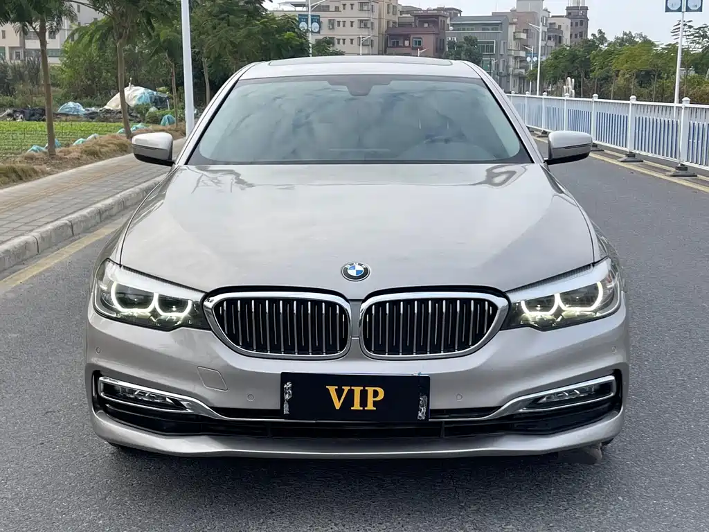 BMW BMW 5 Series 2018 530Li Leading Model Luxury Package 2018 - thumbnail 2