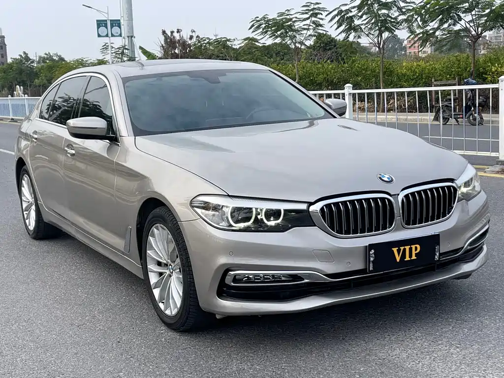 BMW BMW 5 Series 2018 530Li Leading Model Luxury Package 2018 - thumbnail 3