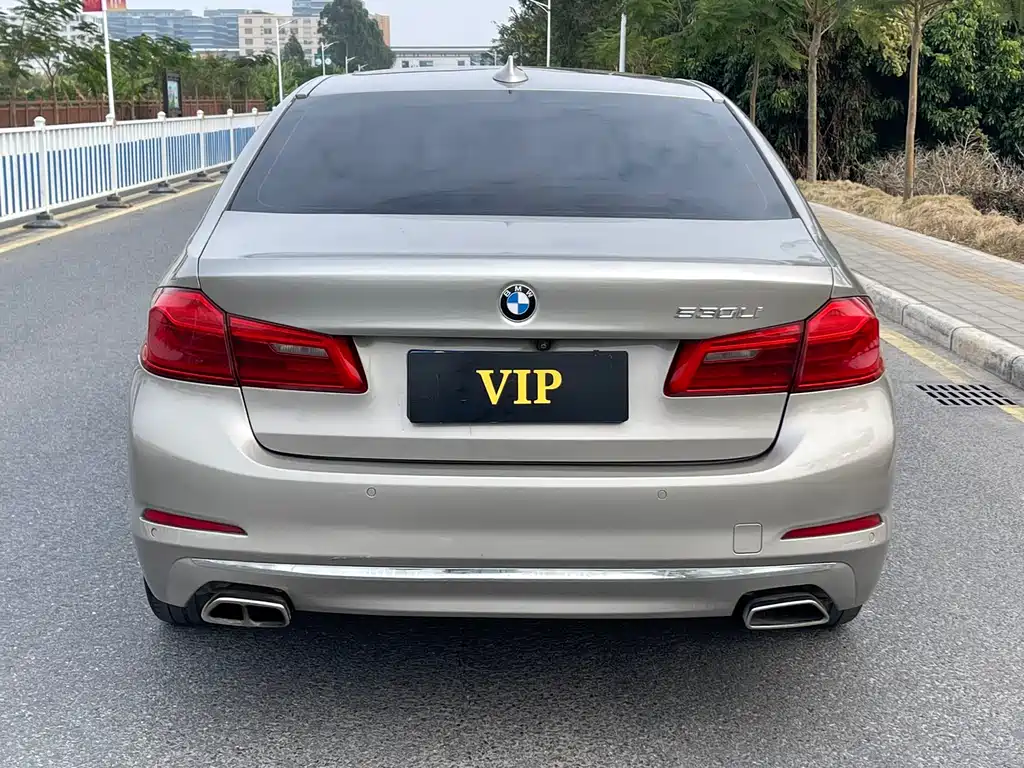 BMW BMW 5 Series 2018 530Li Leading Model Luxury Package 2018 - thumbnail 5