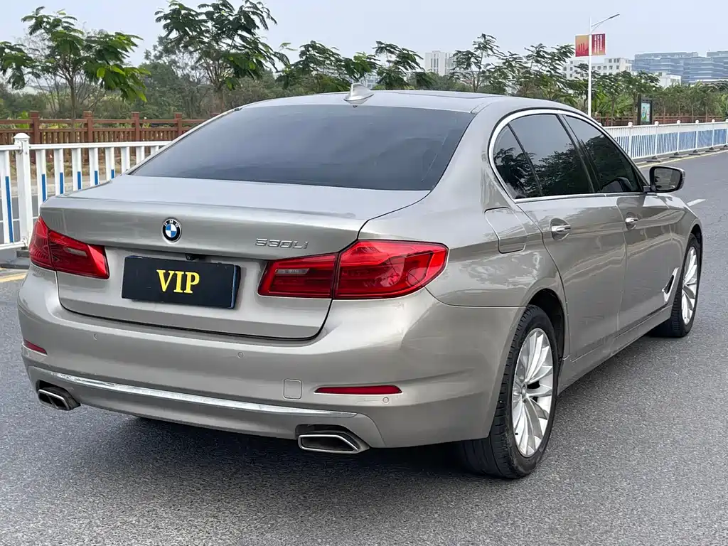 BMW BMW 5 Series 2018 530Li Leading Model Luxury Package 2018 - thumbnail 6