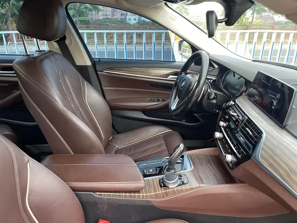 BMW BMW 5 Series 2018 530Li Leading Model Luxury Package 2018 - thumbnail 8