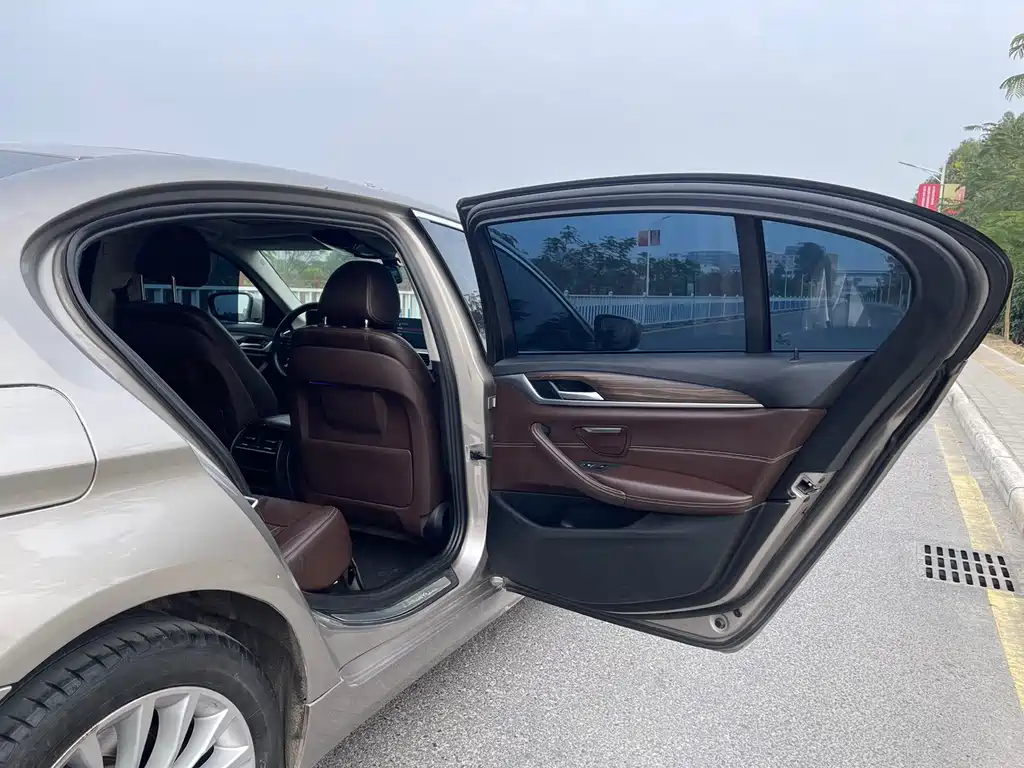 BMW BMW 5 Series 2018 530Li Leading Model Luxury Package 2018 - thumbnail 15