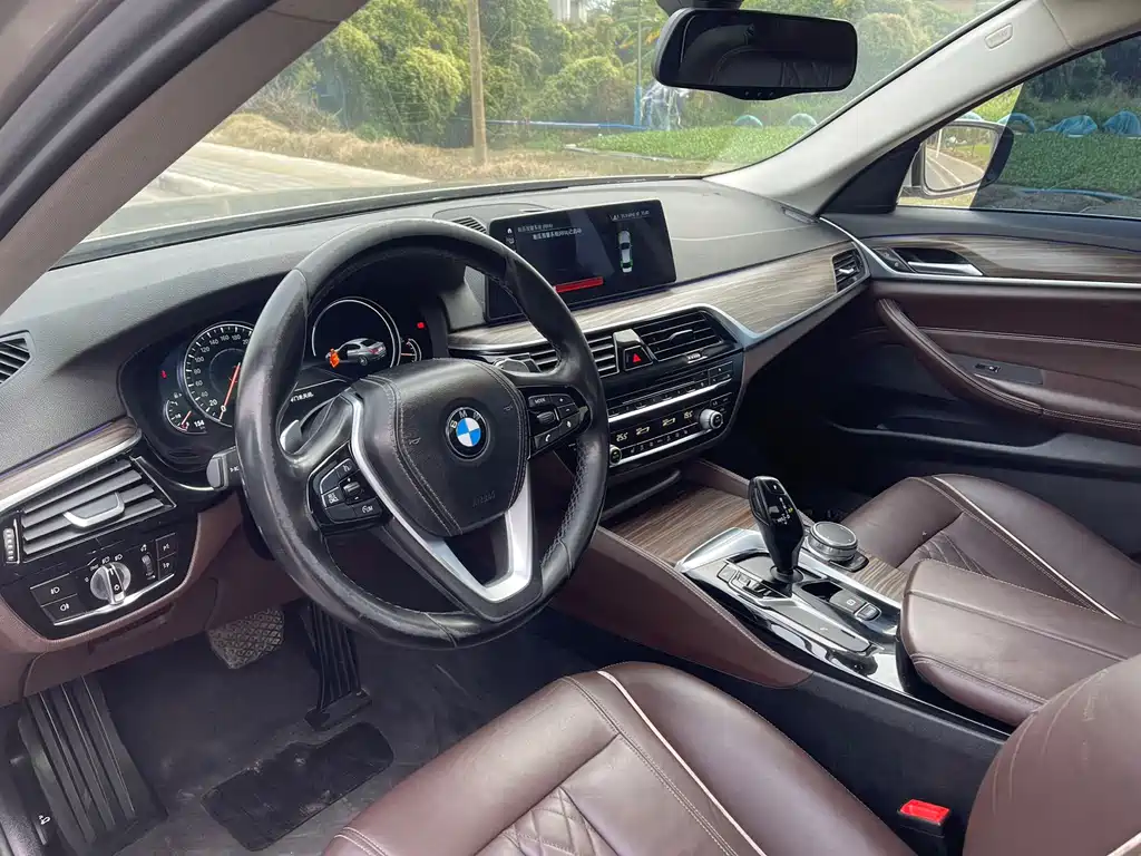 BMW BMW 5 Series 2018 530Li Leading Model Luxury Package 2018 - thumbnail 18