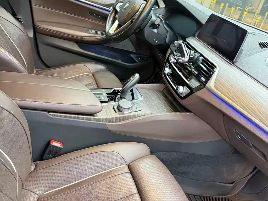 BMW BMW 5 Series New Energy 2019 Model Year Facelift 530Le Pioneer Edition 2019 - thumbnail 8