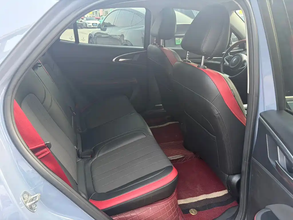 Ora ORA Good Cat GT 2023 Woodlan Edition 401km Luxury Model 2022 - thumbnail 10