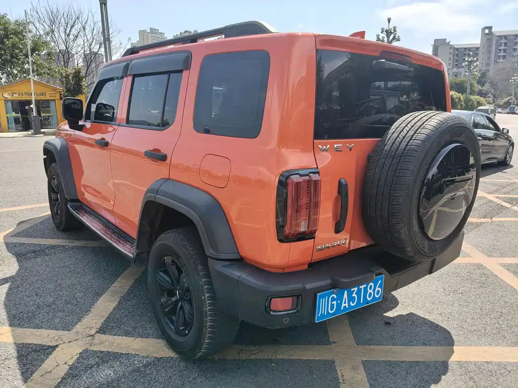 Tank Tank 300 2021 Off-road Edition 2.0T Challenger 2021 - thumbnail 20