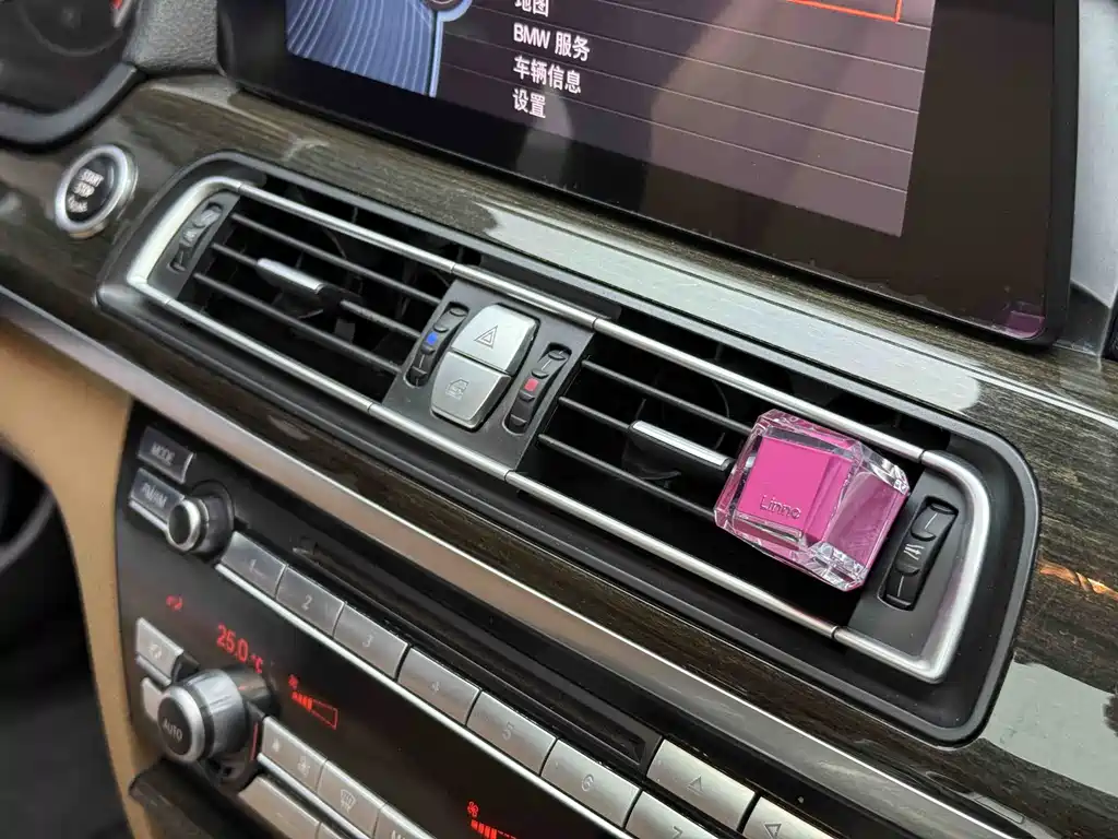 BMW BMW 7 Series 2009 740Li Leading Model 2011 - thumbnail 21