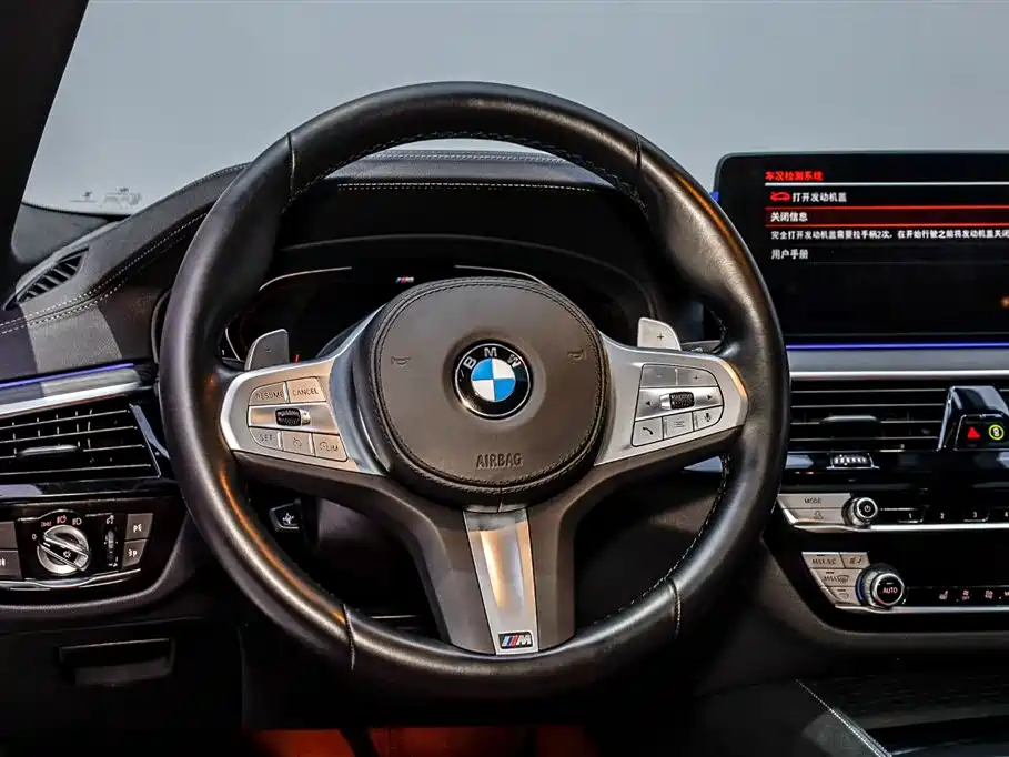 BMW BMW 5 Series 2023 530Li Leading Model M Sport Package 2023 - thumbnail 13