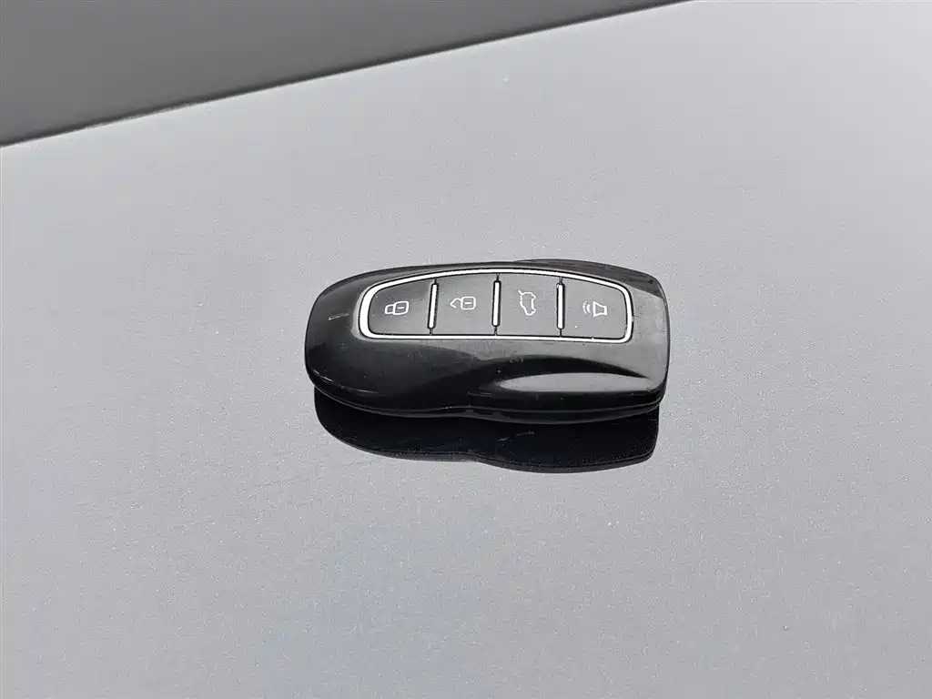 Ford Lingrui 2022 EcoBoost 170 Boiling Edition 2023 - thumbnail 19