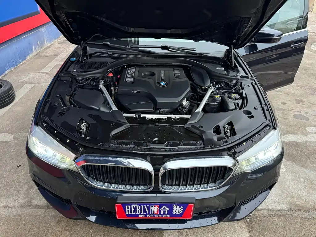 BMW BMW 5 Series 2020 525Li M Sport Package 2020 - thumbnail 29