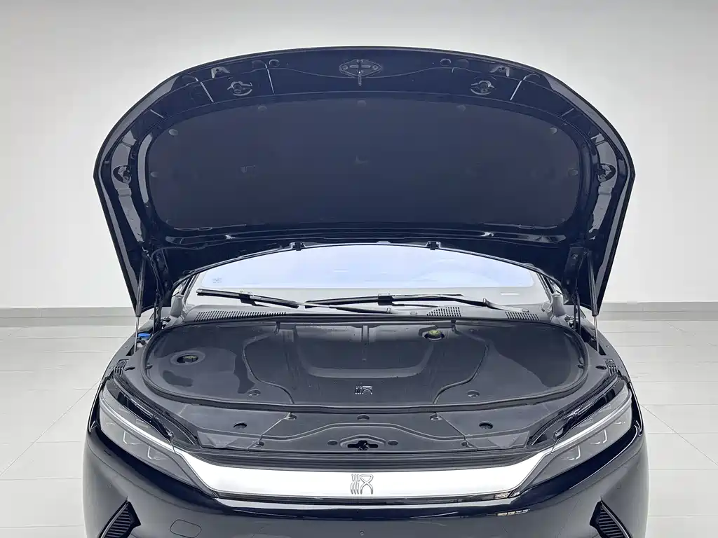 BYD BYD Han 2020 EV AWD High-Performance Flagship Edition 2021 - thumbnail 10