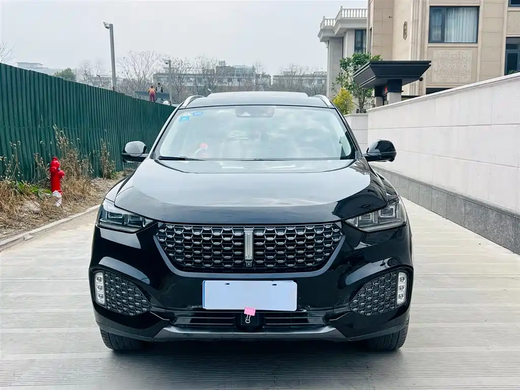 Wey WEY VV6 2019 2.0T 2WD Ultra Luxury Model国VI 2019 - thumbnail 2