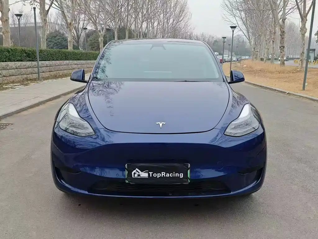 Tesla Model Y 2022 Rear-Wheel Drive Version 2022 - thumbnail 2