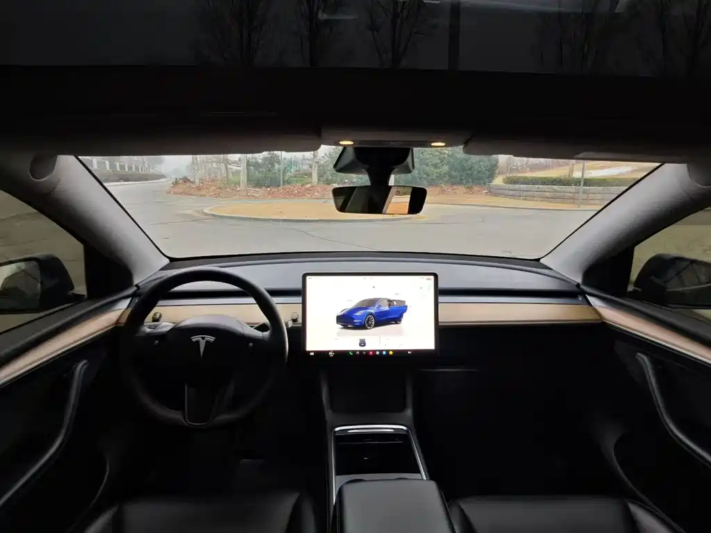Tesla Model Y 2022 Rear-Wheel Drive Version 2022 - thumbnail 6