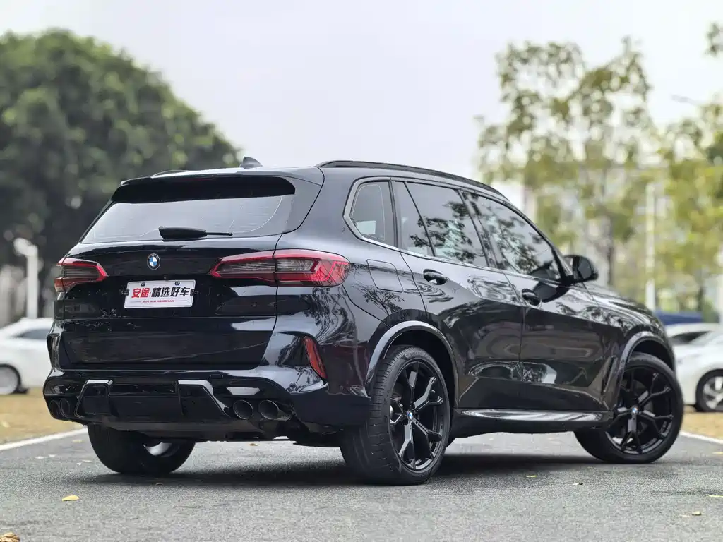 BMW BMW X5 xDrive40i M Sport Package 2020 - thumbnail 3