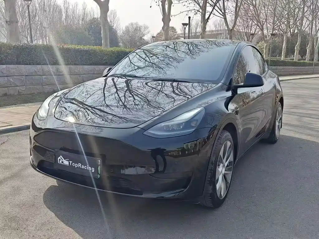 Tesla Model Y 2021 Standard Range Rear-Wheel Drive 2021