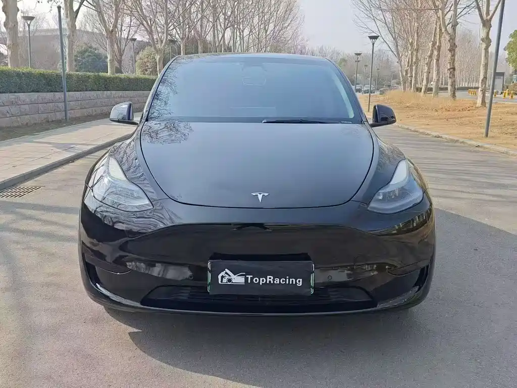 Tesla Model Y 2021 Standard Range Rear-Wheel Drive 2021 - thumbnail 2