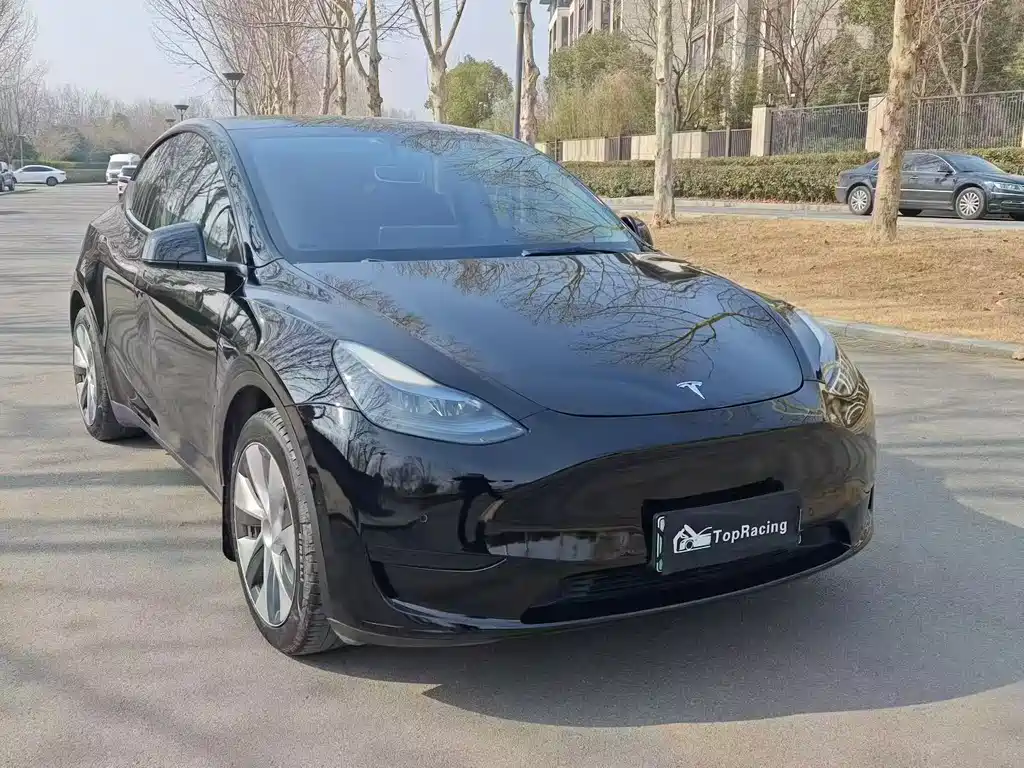 Tesla Model Y 2021 Standard Range Rear-Wheel Drive 2021 - thumbnail 3