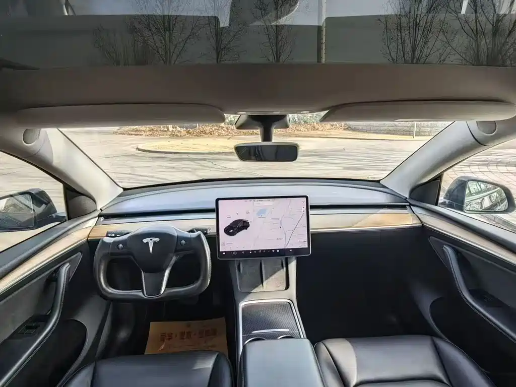 Tesla Model Y 2021 Standard Range Rear-Wheel Drive 2021 - thumbnail 6