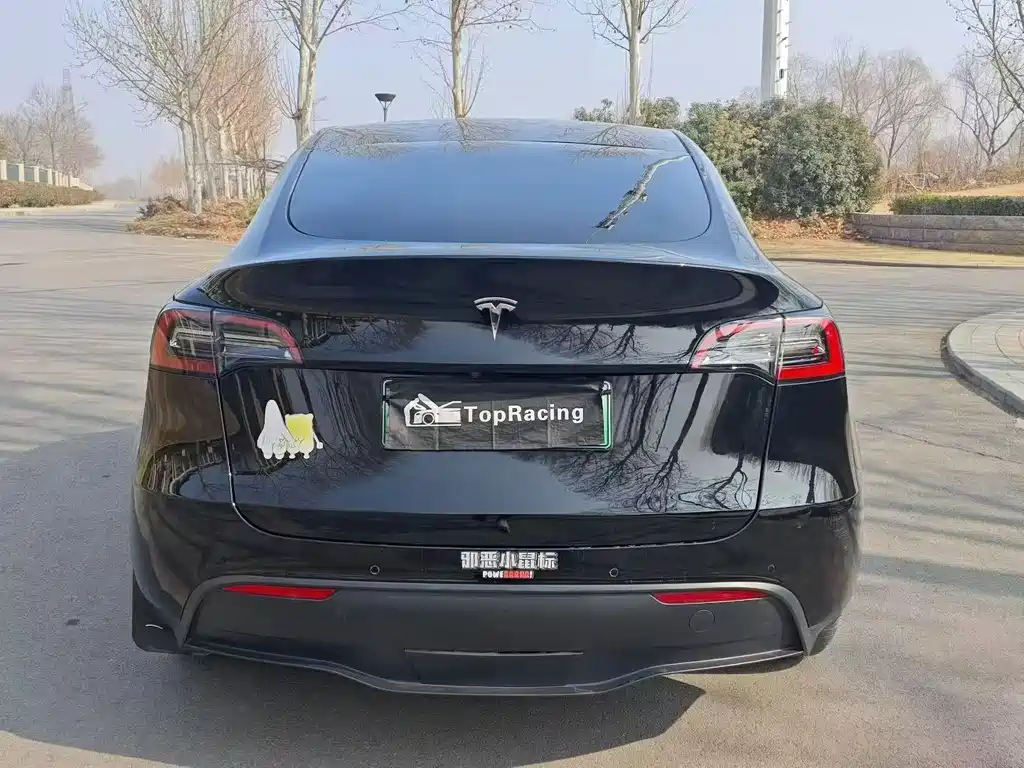 Tesla Model Y 2021 Standard Range Rear-Wheel Drive 2021 - thumbnail 8