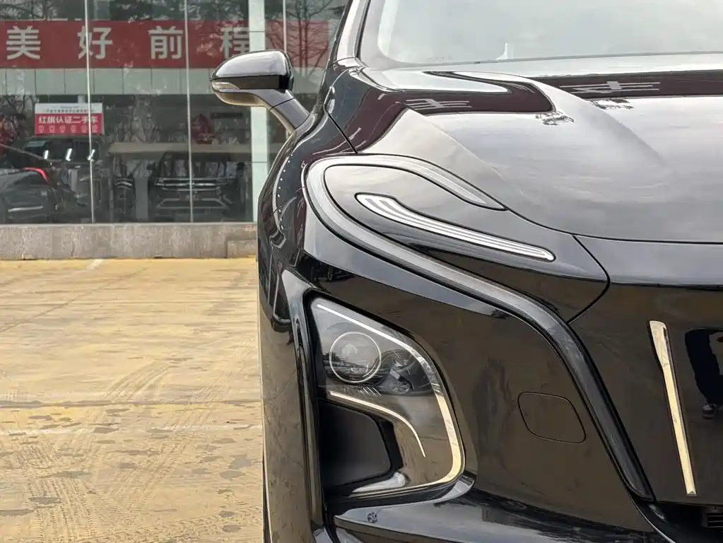 Hongqi Hongqi E-QM5 2024 450km Travel Edition 2024 - thumbnail 15