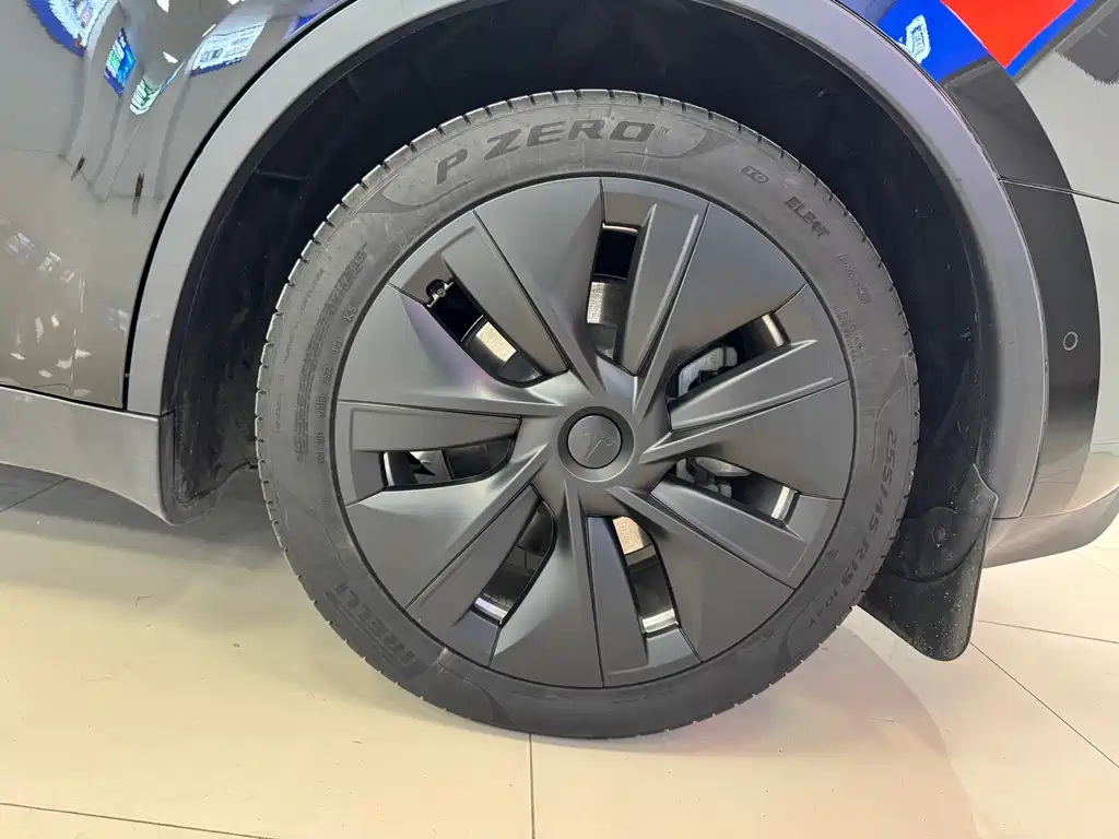 Tesla Model Y 2022 Rear-Wheel Drive 2022 - thumbnail 10