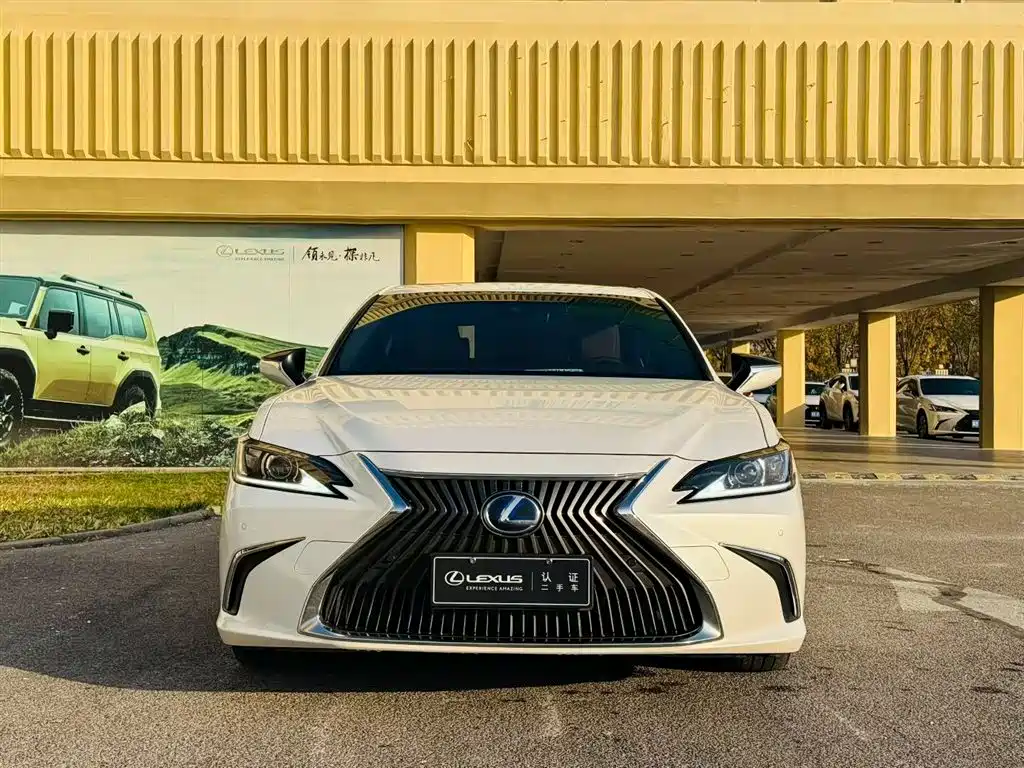 Lexus Lexus ES 300h 2020 Premium Edition 2020 - thumbnail 3