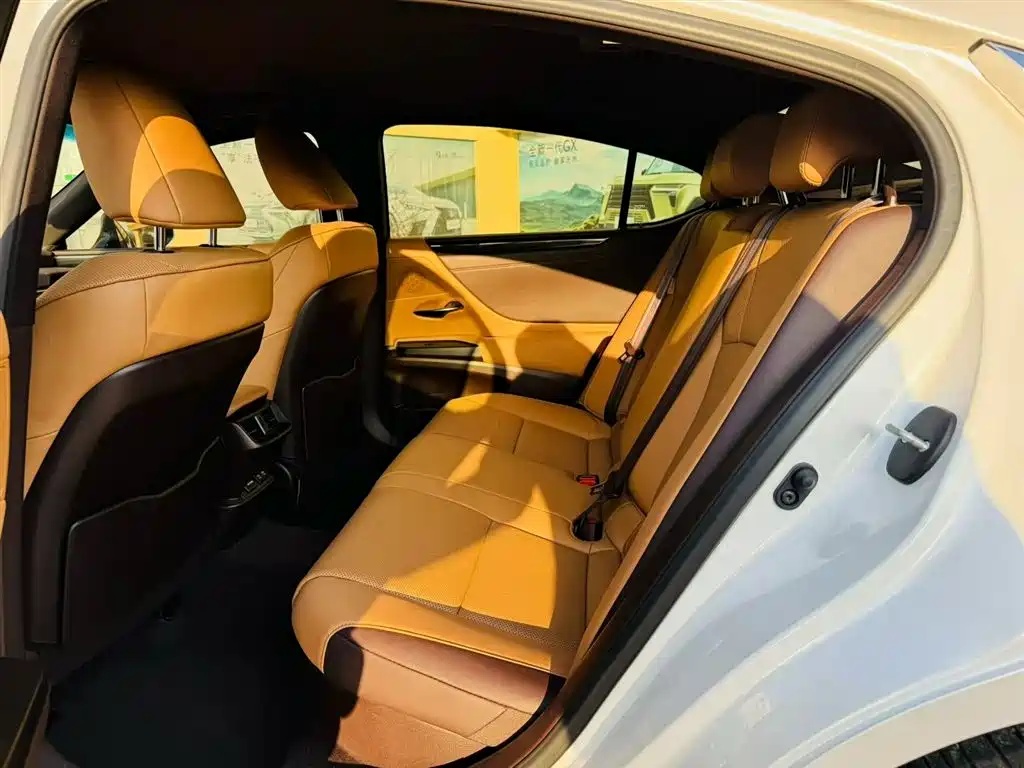 Lexus Lexus ES 300h 2020 Premium Edition 2020 - thumbnail 6