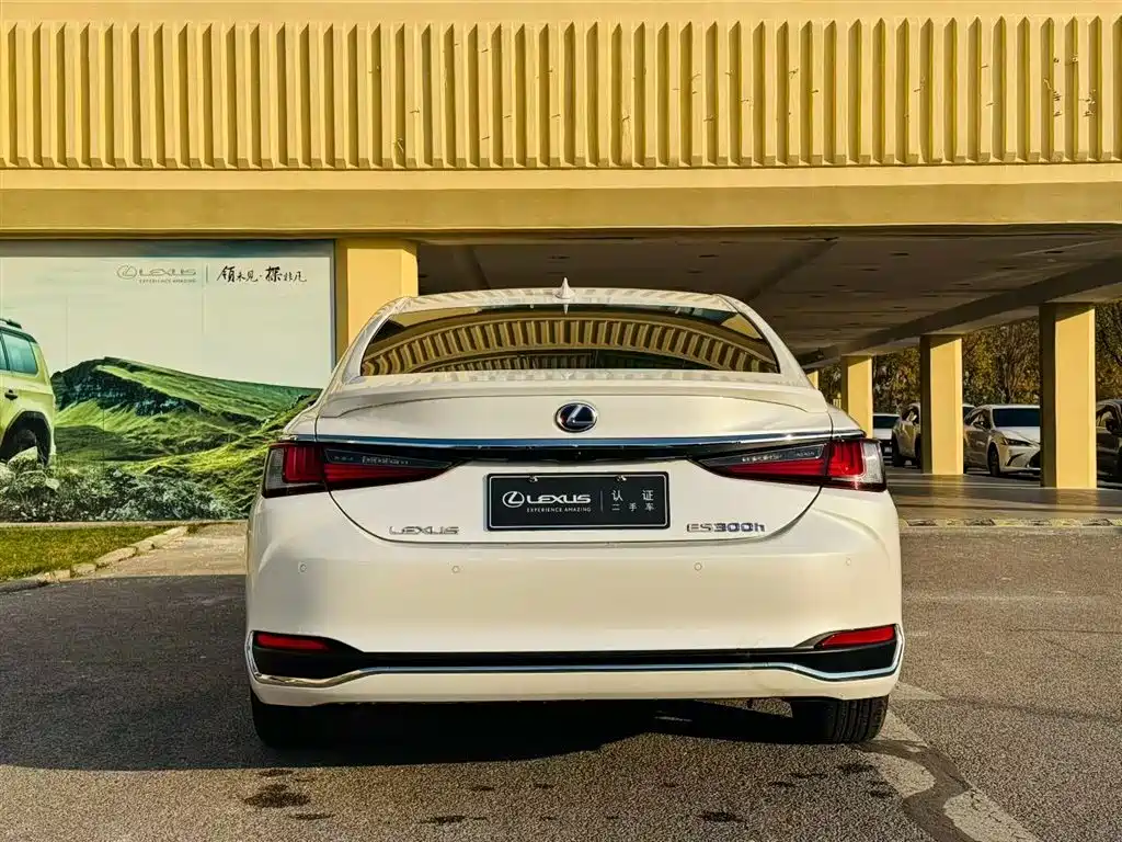 Lexus Lexus ES 300h 2020 Premium Edition 2020 - thumbnail 7