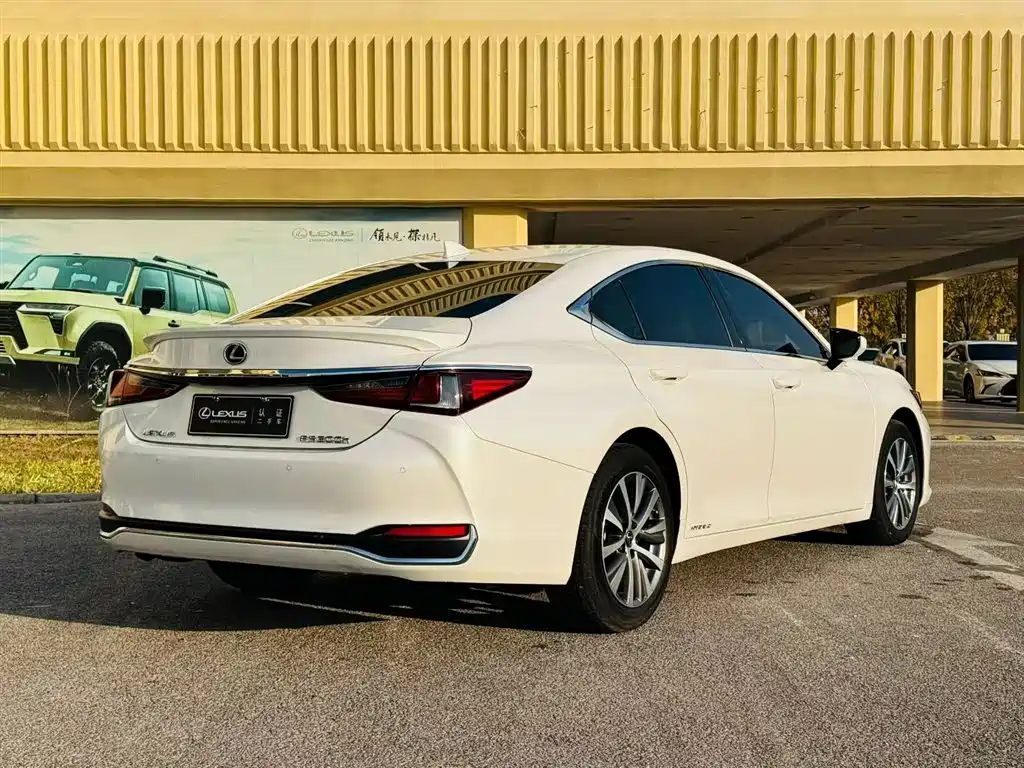 Lexus Lexus ES 300h 2020 Premium Edition 2020 - thumbnail 8