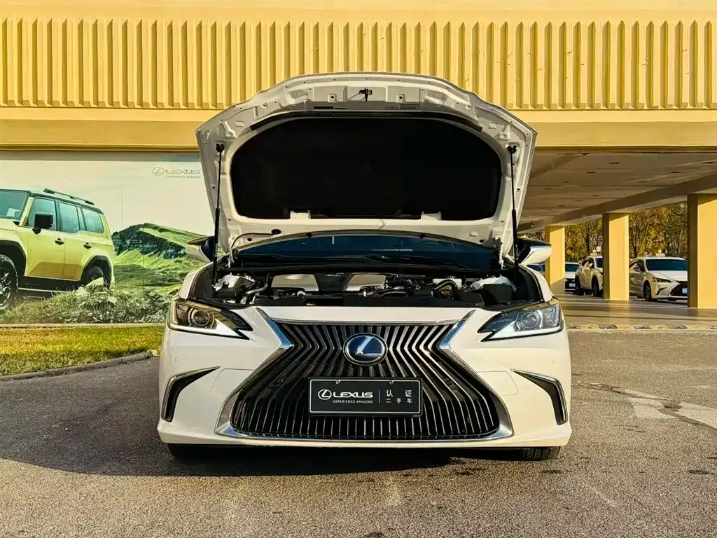 Lexus Lexus ES 300h 2020 Premium Edition 2020 - thumbnail 9