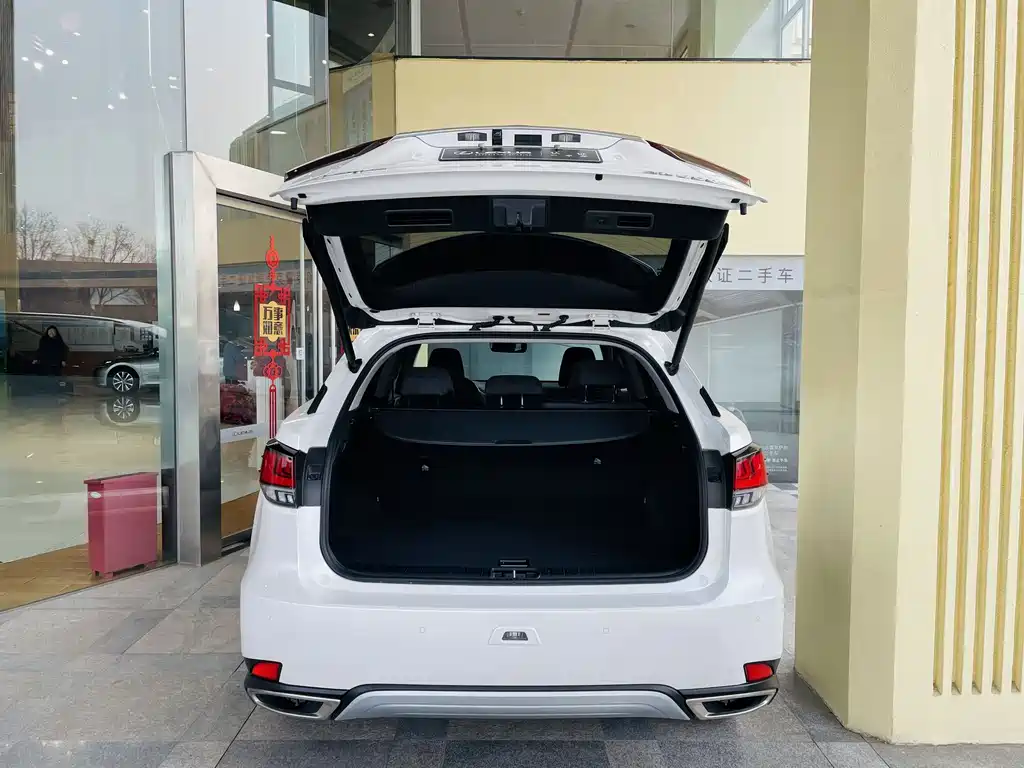 Lexus Lexus RX 300 F Sport AWD 2020 Model VI 2021 - thumbnail 6