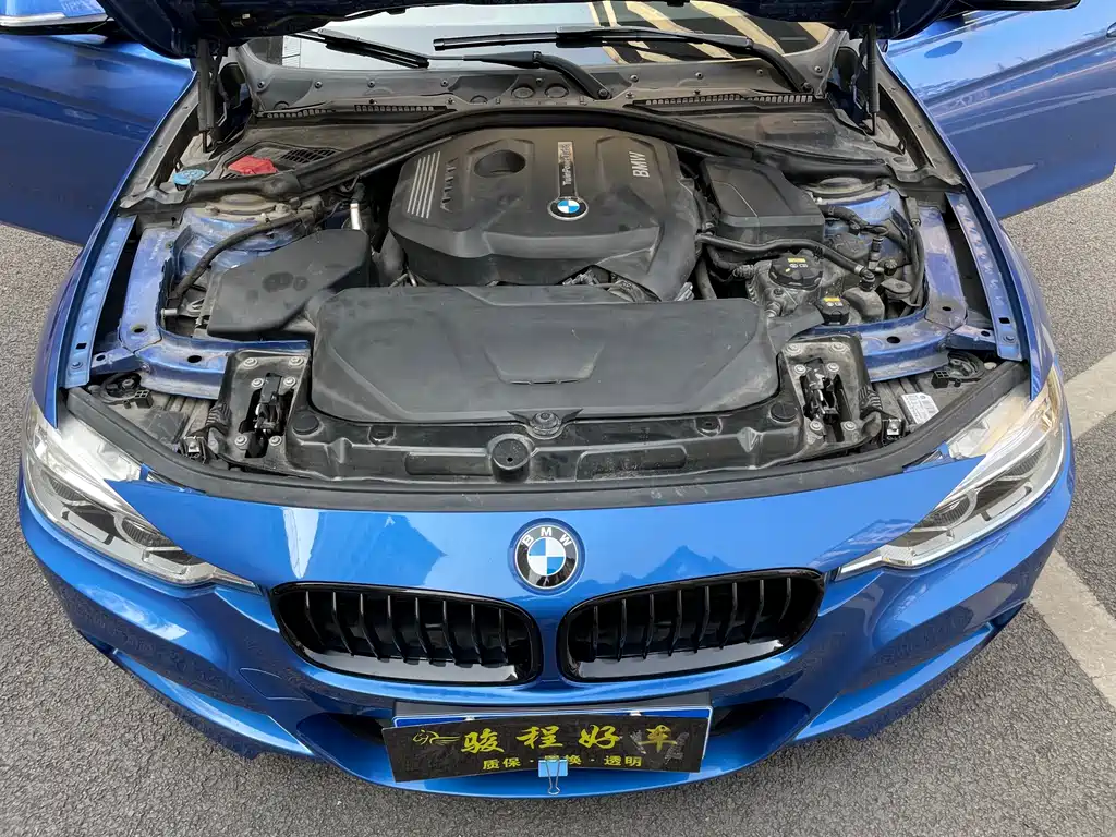BMW BMW 3 Series 2018 320Li M Sport Package 2018 - thumbnail 10